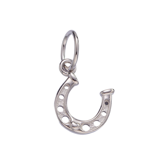 Lucky Horseshoe Charm