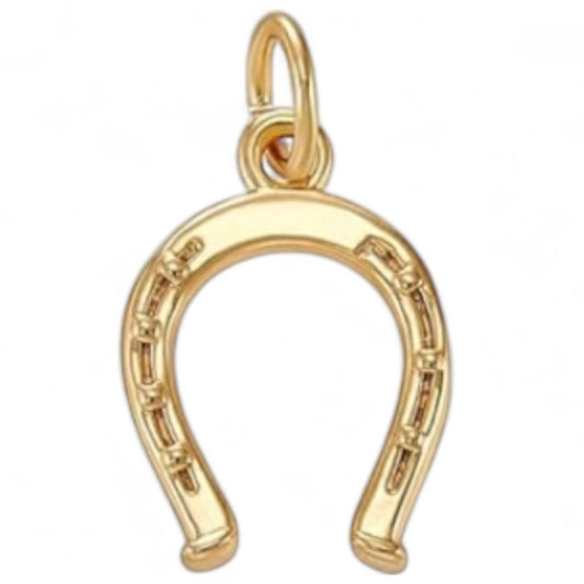 Lucky Horse Shoe Charm