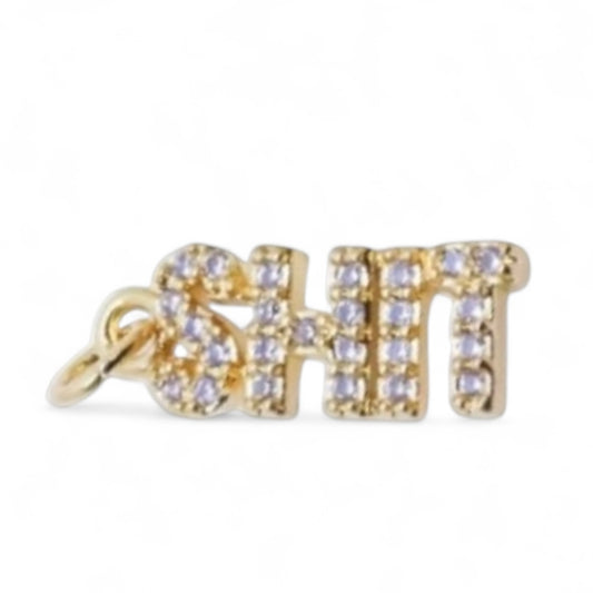 Shit Charm