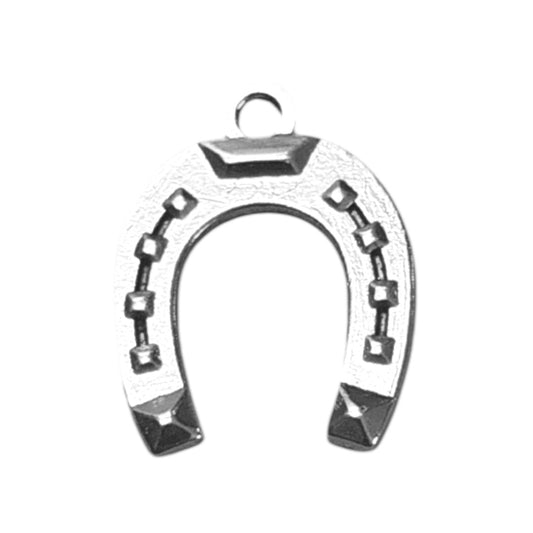 Lucky Horseshoe Charm